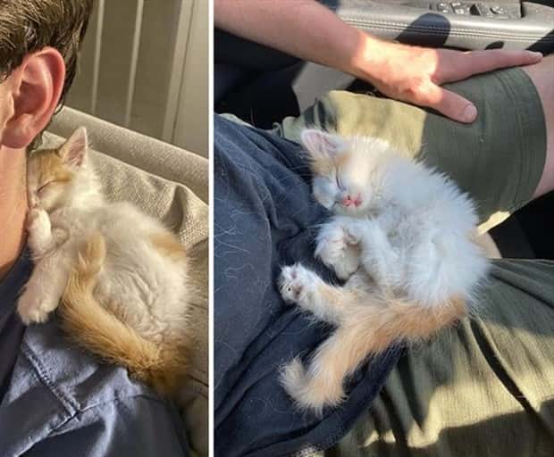 Get Ready for Funny Animals #359 (27 photos)