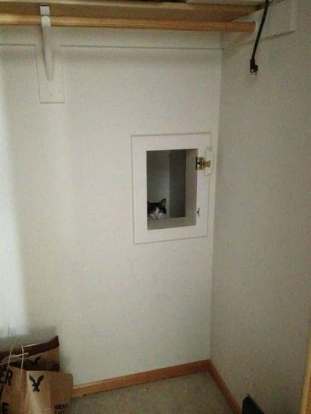 funny animals 27 Get Ready for Funny Animals #358 (28 photos)