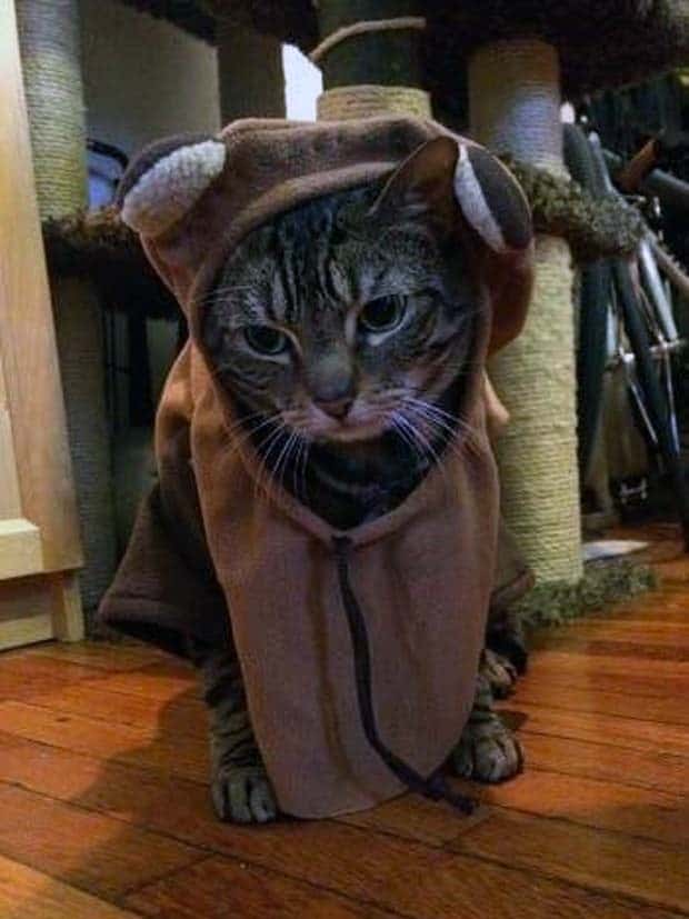 Get Ready for Funny Animals #359 (27 photos)