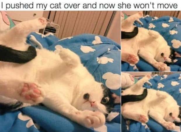 Get Ready for Funny Animals #359 (27 photos)