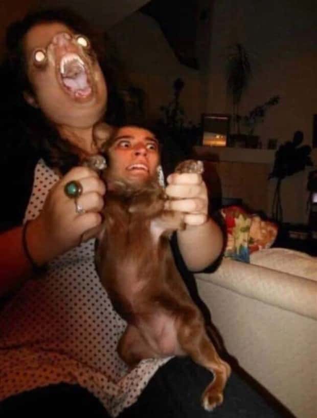 Unsettling Yet Hilarious Face Swaps (46 photos)