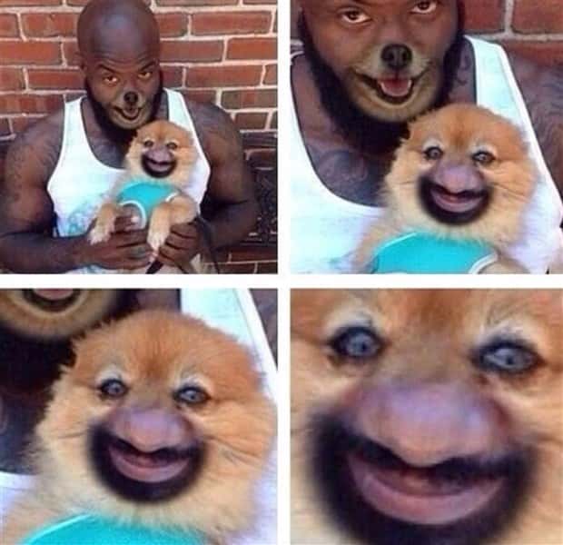 Unsettling Yet Hilarious Face Swaps (46 photos)