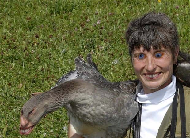 Unsettling Yet Hilarious Face Swaps (46 photos)