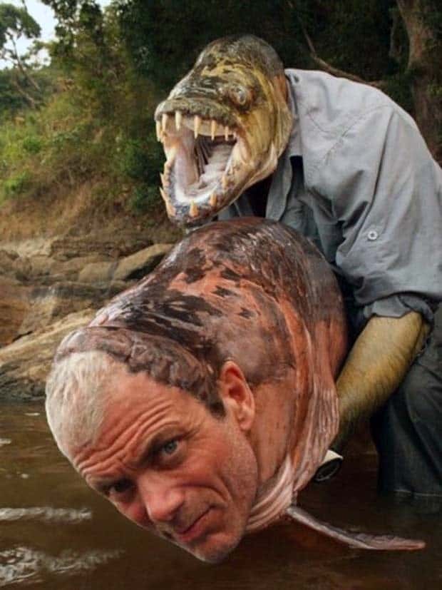 Unsettling Yet Hilarious Face Swaps (46 photos)