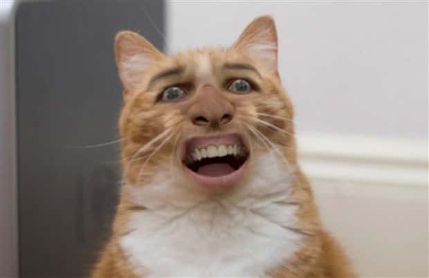 Unsettling Yet Hilarious Face Swaps (46 photos)