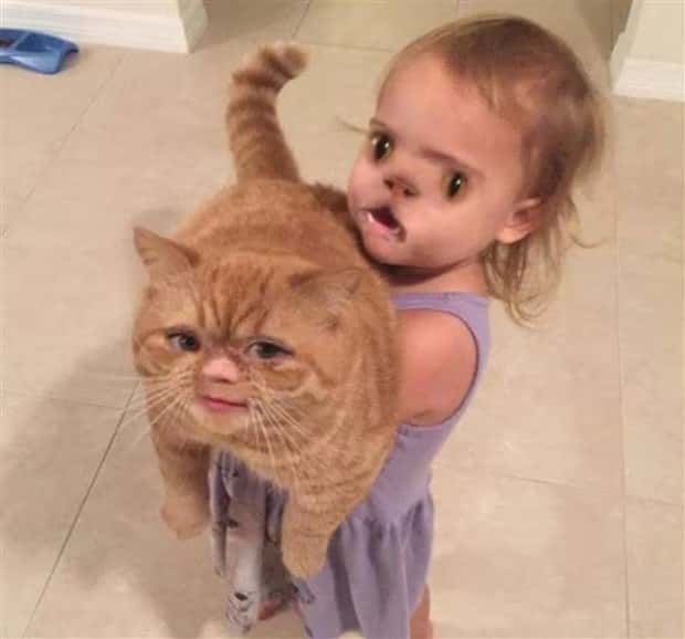 Unsettling Yet Hilarious Face Swaps (46 photos)
