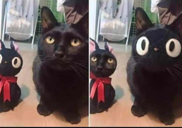Unsettling Yet Hilarious Face Swaps (46 photos)