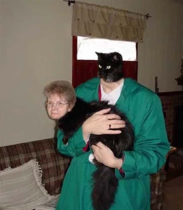 Unsettling Yet Hilarious Face Swaps (46 photos)