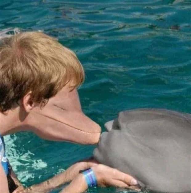 Unsettling Yet Hilarious Face Swaps (46 photos)