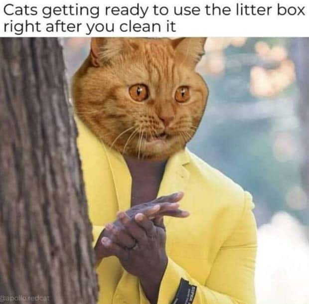 Funny Pics and Memes to Make You Laugh #130 (29 photos)