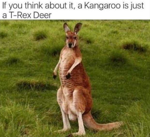 Funny Pics and Memes to Make You Laugh #130 (29 photos)