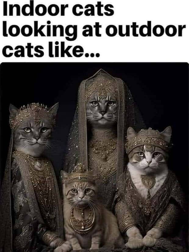 Funny Pics and Memes to Make You Laugh #131 (28 photos)