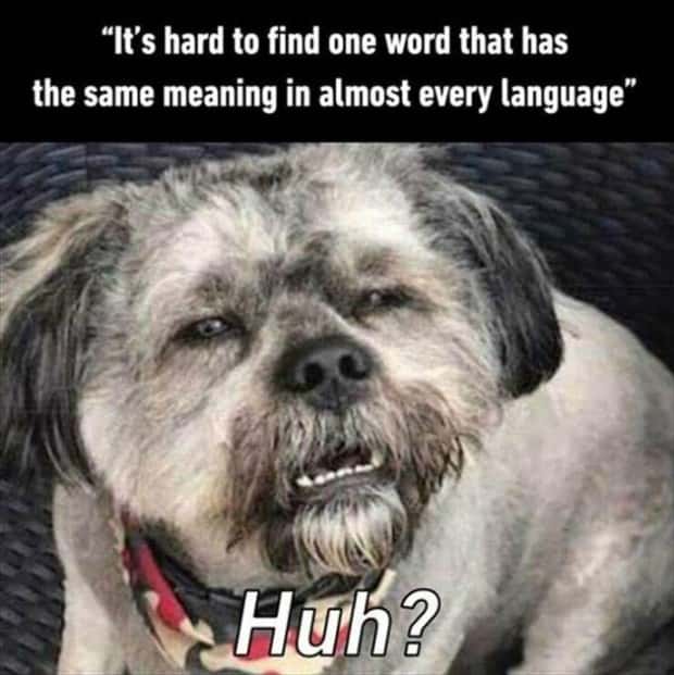 Funny Pics and Memes to Make You Laugh #128 (23 photos)