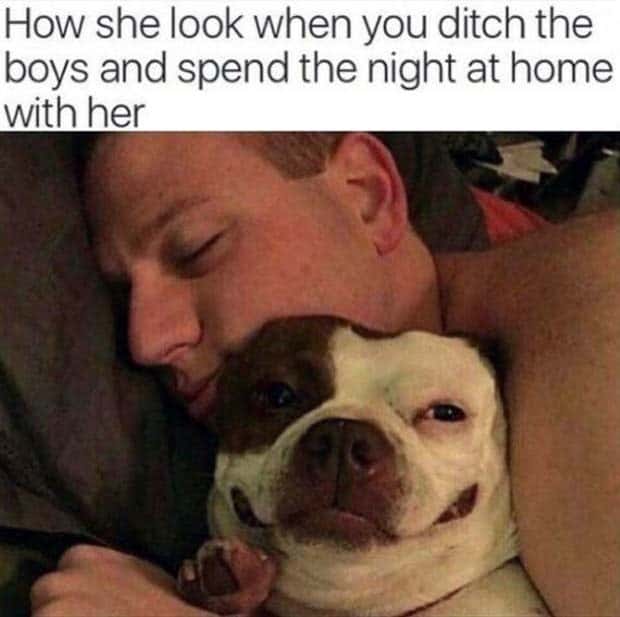 Funny Pics and Memes to Make You Laugh #129 (26 photos)