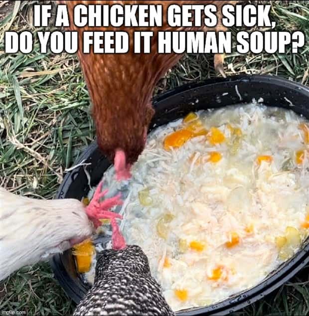 Funny Shower Thoughts #127 (24 photos)