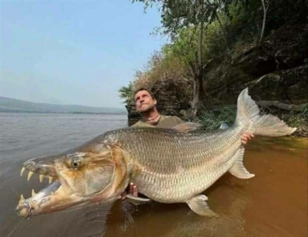 People Facing Huge Animals Up Close (41 photos)