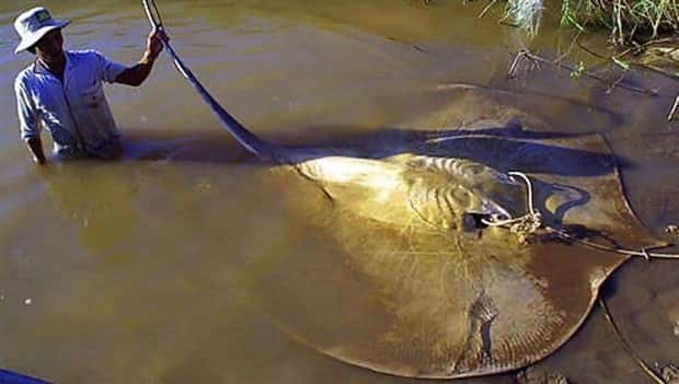 People Facing Huge Animals Up Close (41 photos)