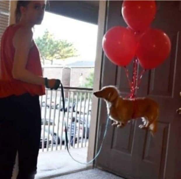 klyker picdump 11 13 2024 12 Klyker Picdump #1593 (43 photos)