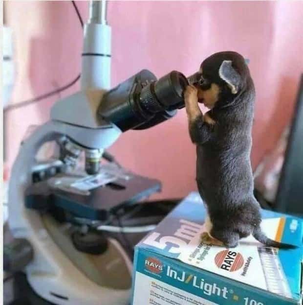 klyker picdump 11 13 2024 17 Klyker Picdump #1593 (43 photos)