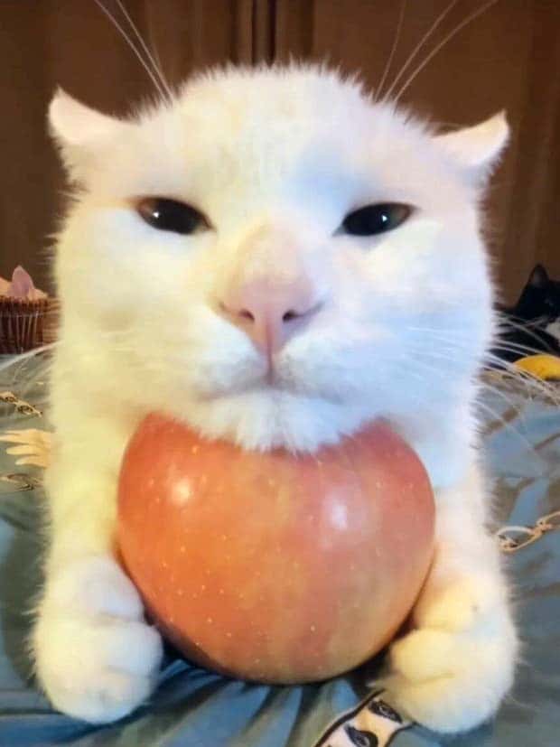 klyker picdump 11 13 2024 19 Klyker Picdump #1593 (43 photos)