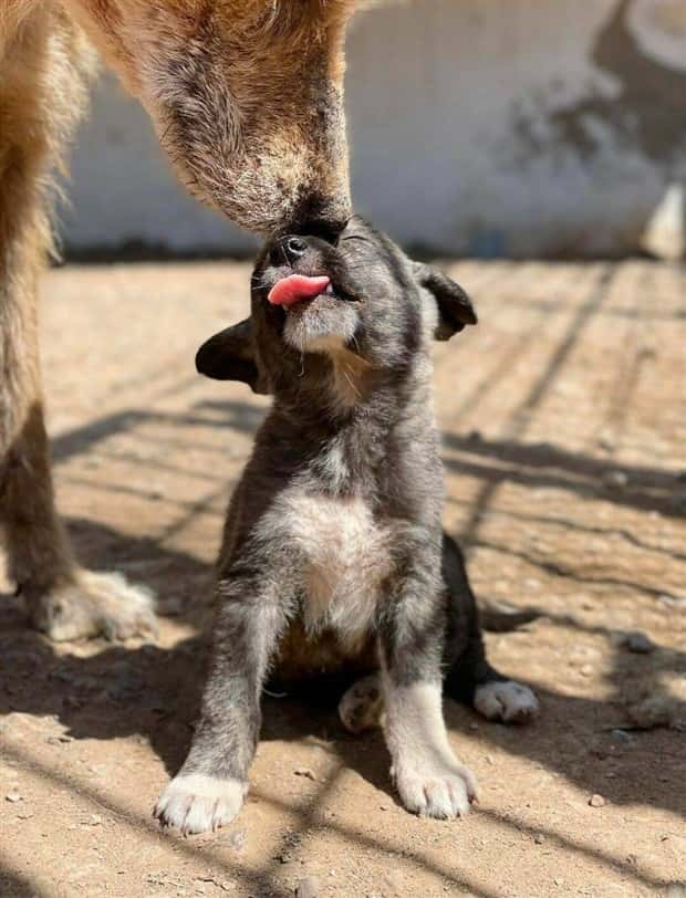 klyker picdump 11 13 2024 23 Klyker Picdump #1593 (43 photos)