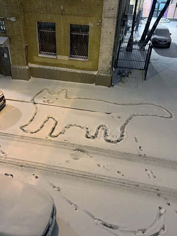 klyker picdump 11 13 2024 3 Klyker Picdump #1593 (43 photos)