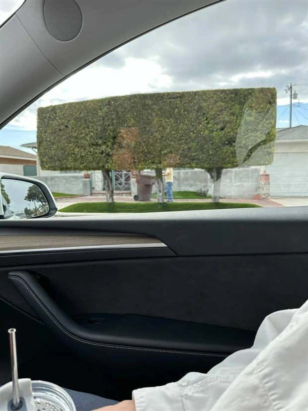 klyker picdump 11 13 2024 35 Klyker Picdump #1593 (43 photos)