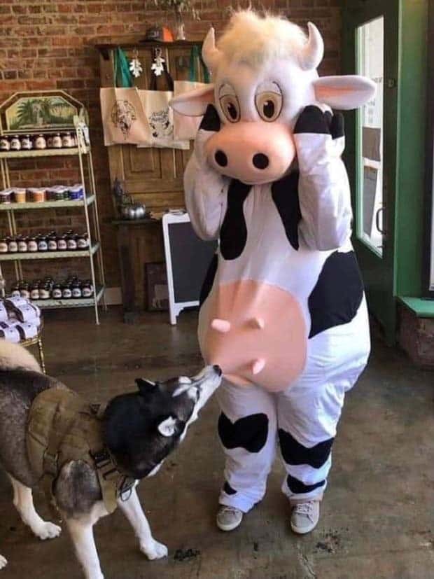 klyker picdump 11 13 2024 5 Klyker Picdump #1593 (43 photos)