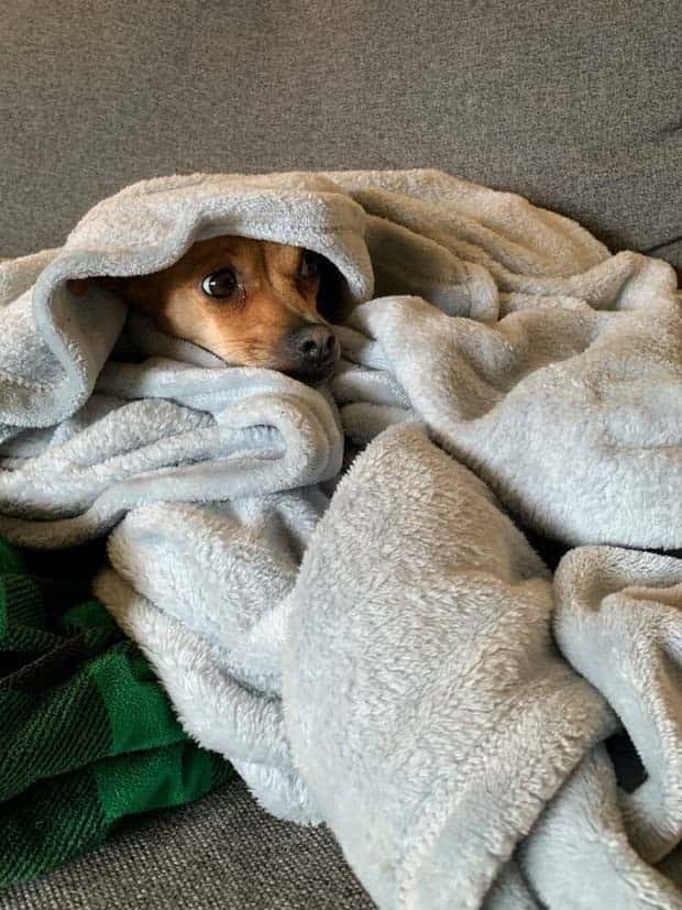 Klyker Picdump #1594 (44 photos)