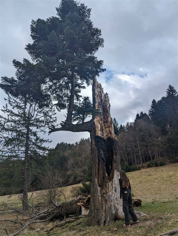 Klyker Picdump #1594 (44 photos)