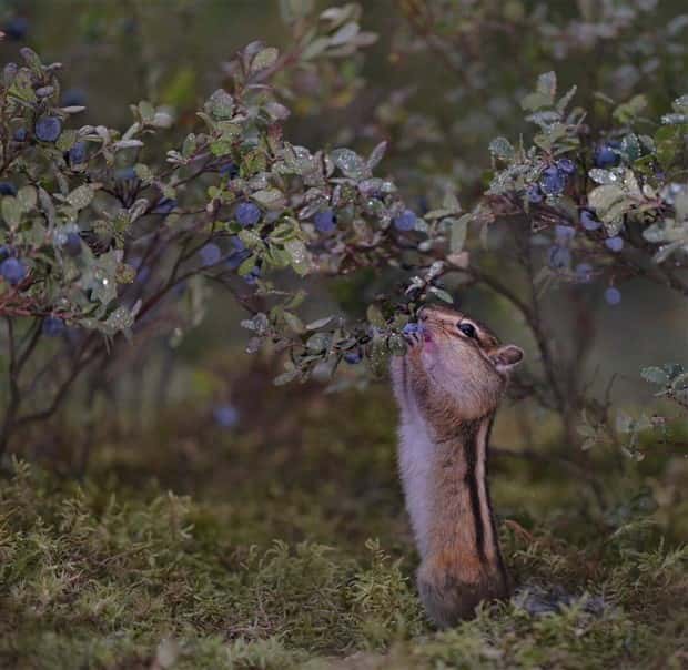 Klyker Picdump #1594 (44 photos)