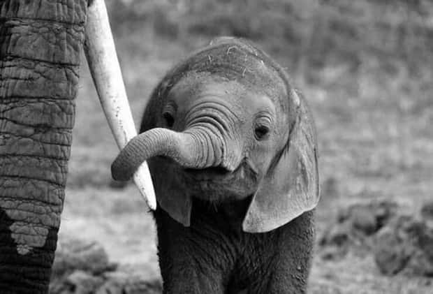 Klyker Picdump #1594 (44 photos)