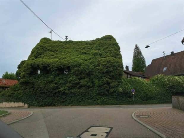 Klyker Picdump #1594 (44 photos)