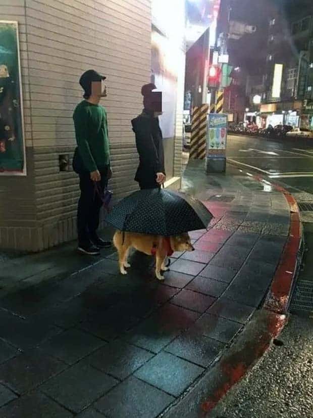 Klyker Picdump #1596 (41 photos)