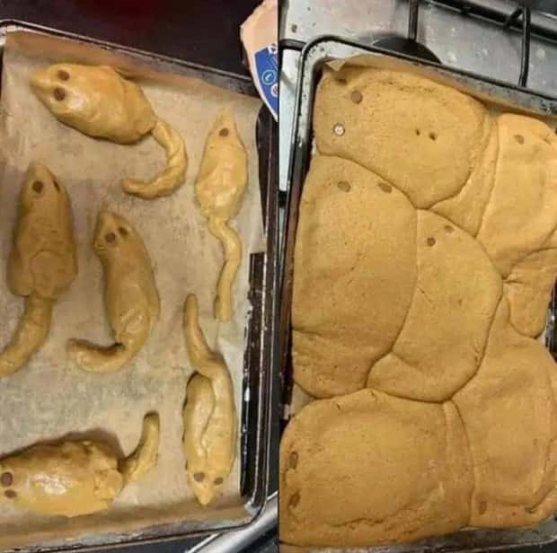 Klyker Picdump #1596 (41 photos)