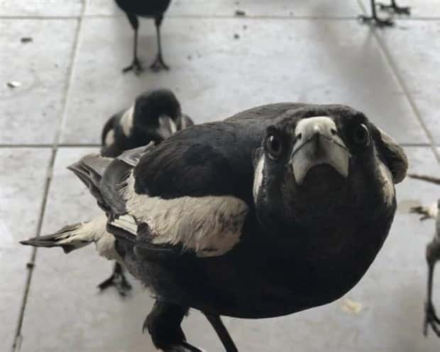 Klyker Picdump #1596 (41 photos)