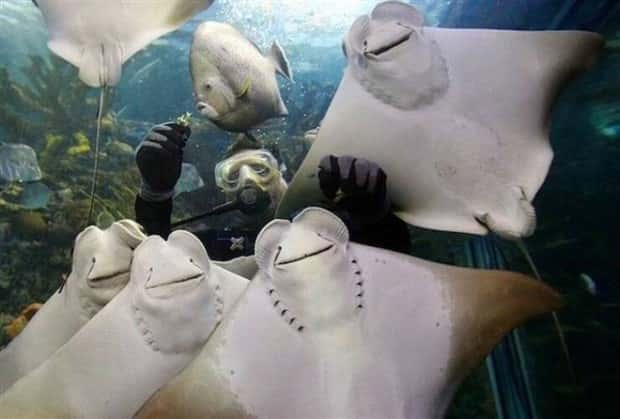 Klyker Picdump #1597 (42 photos)