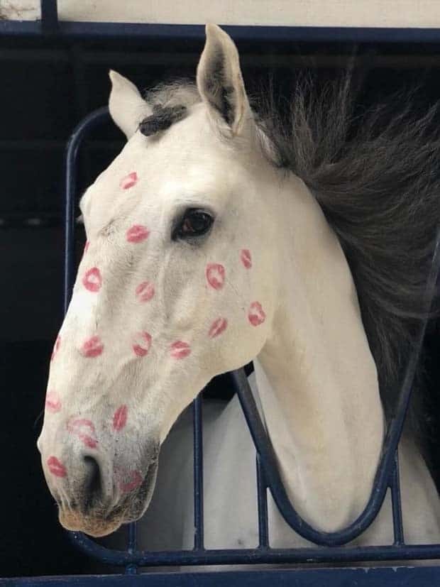 Klyker Picdump #1597 (42 photos)