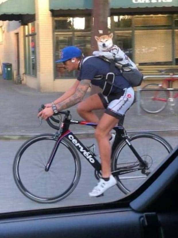 Klyker Picdump #1597 (42 photos)