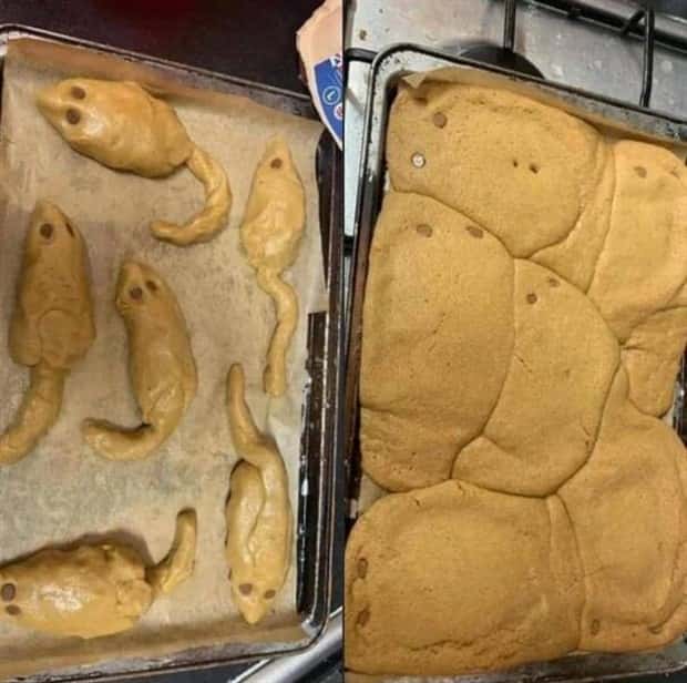 Klyker Picdump #1597 (42 photos)