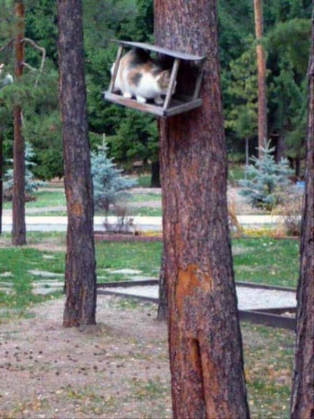 Klyker Picdump #1597 (42 photos)