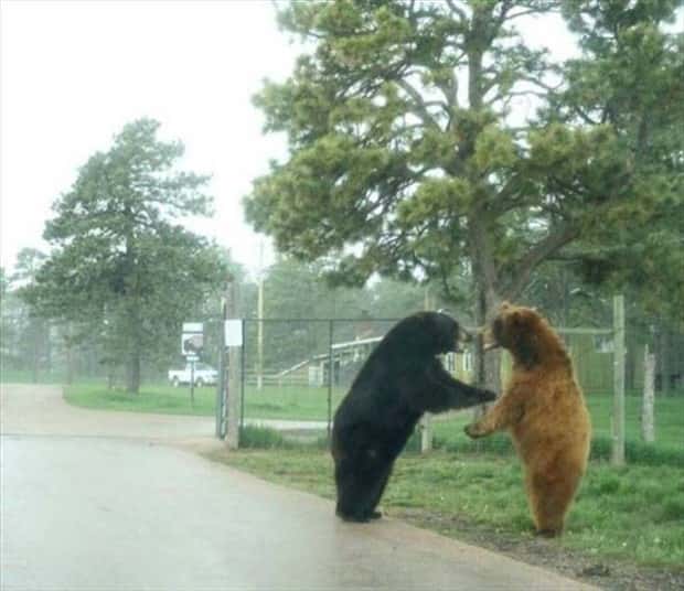 Klyker Picdump #1598 (43 photos)