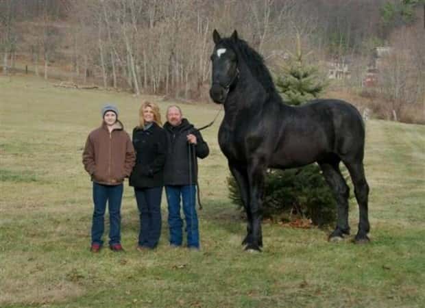 Klyker Picdump #1598 (43 photos)