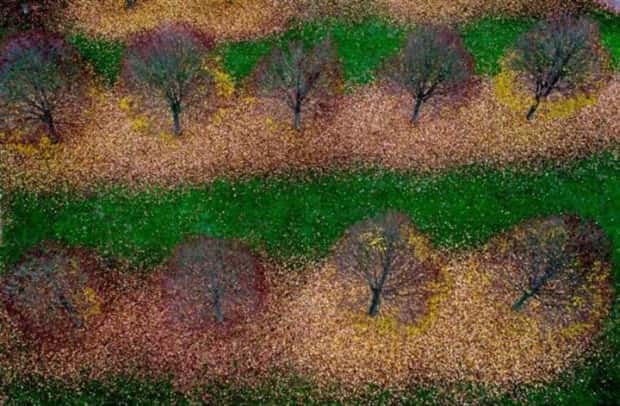 Klyker Picdump #1598 (43 photos)