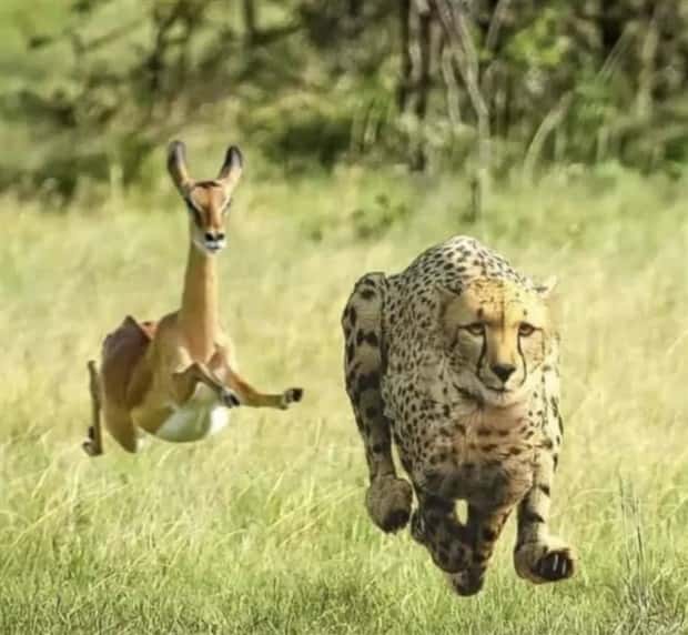 Klyker Picdump #1598 (43 photos)