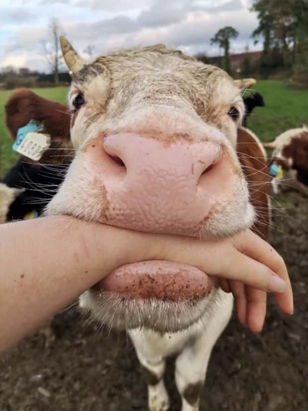 Klyker Picdump #1598 (43 photos)