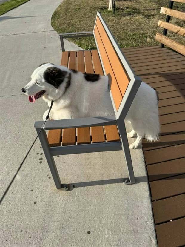 Klyker Picdump #1598 (43 photos)