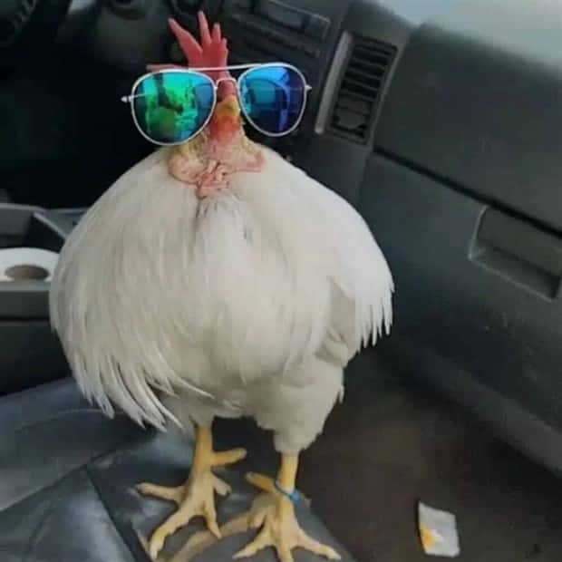 Klyker Picdump #1598 (43 photos)