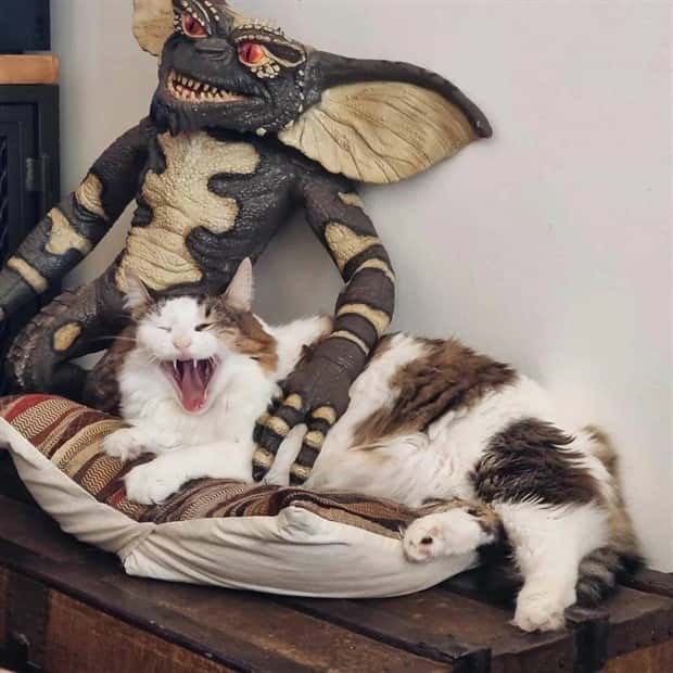 Klyker Picdump #1599 (44 photos)