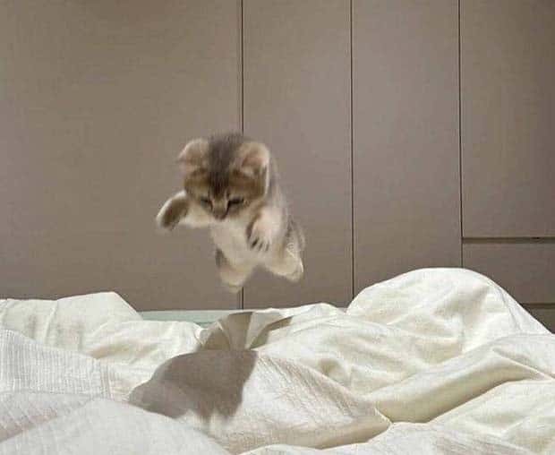 Klyker Picdump #1599 (44 photos)